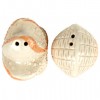 2pcs / Set Starfish and Shell Style Ceramics Seasoning Bottle Condiment Jar Kitchen Supplies Spice Tools