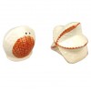 2pcs / Set Starfish and Shell Style Ceramics Seasoning Bottle Condiment Jar Kitchen Supplies Spice Tools