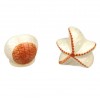 2pcs / Set Starfish and Shell Style Ceramics Seasoning Bottle Condiment Jar Kitchen Supplies Spice Tools