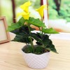 PU Real Touch Artificial Calla Flower Bonsai