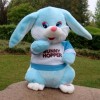 Stuffed Plush Toy Electric Funny Music Dancing Bunny