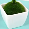 XM Creative Simulation Love Design Plant Bonsai 4PCS