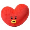 Fashion Youth League Heart Doll Pillow