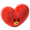 Fashion Youth League Heart Doll Pillow