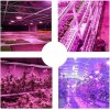 Portable Durable Plant Growth LED Light