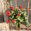 Christmas Red Berries Artificial Flower Home Party Wedding Decorations