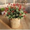 Christmas Red Berries Artificial Flower Home Party Wedding Decorations