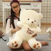 Cute Teddy Bear Plush Doll Valentine's Day Gift