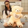 Cute Teddy Bear Plush Doll Valentine's Day Gift