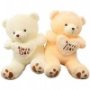 Cute Teddy Bear Plush Doll Valentine's Day Gift