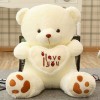 Cute Teddy Bear Plush Doll Valentine's Day Gift